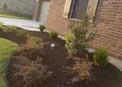 Affordable Lawn Service
