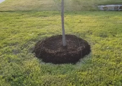 Dependable Lawn Service