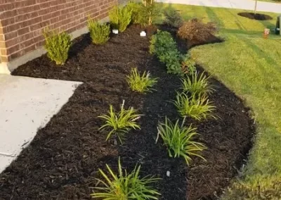 Impeccable Lawn Service